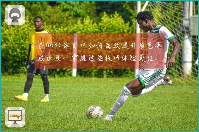 在6686体育中如何高效提升角色养成速度，掌握这些技巧体验更佳！