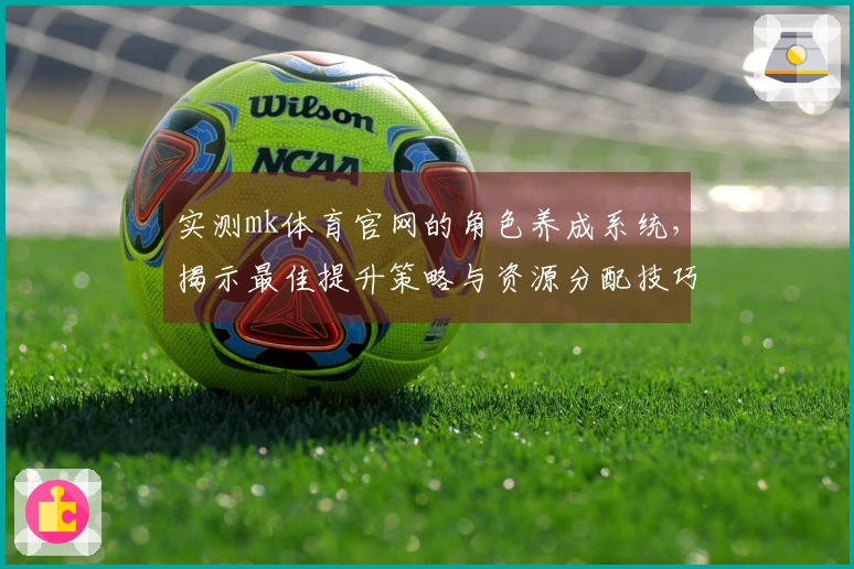 实测mk体育官网的角色养成系统，揭示最佳提升策略与资源分配技巧